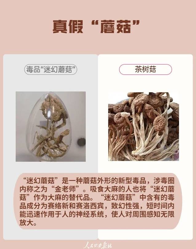 說明: 圖片