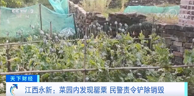 說明: 圖片